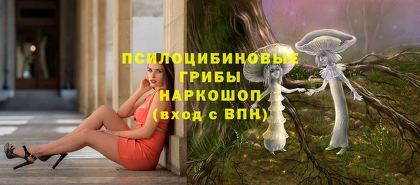 стаф Весьегонск