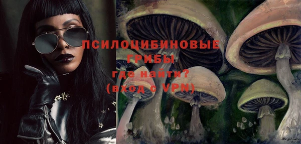 mdpv Нягань