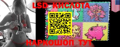 spice Будённовск