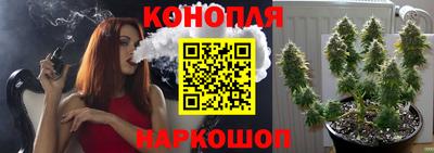 spice Будённовск