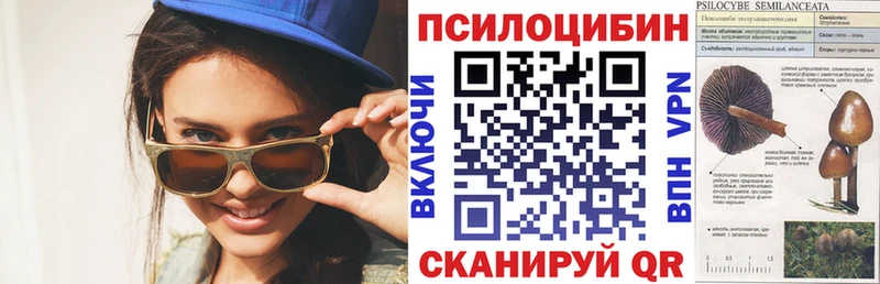 даркнет сайт  Долгопрудный  Галлюциногенные грибы MAGIC MUSHROOMS 