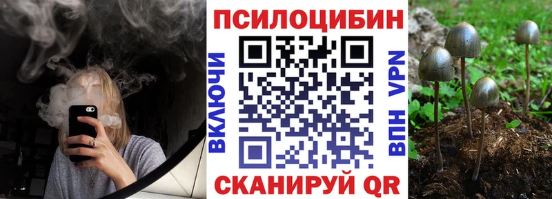 Псилоцибиновые грибы Magic Shrooms Долгопрудный