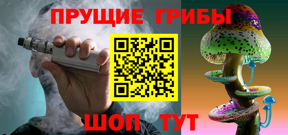 Галлюциногенные грибы Psilocybe  как найти наркотики  Долгопрудный 