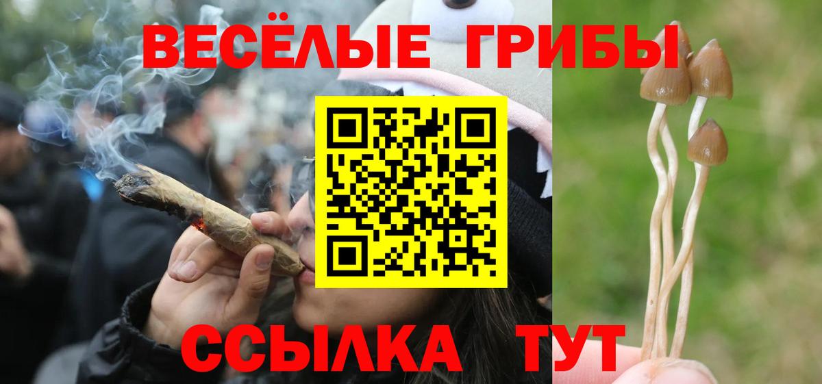 Псилоцибиновые грибы Magic Shrooms Долгопрудный
