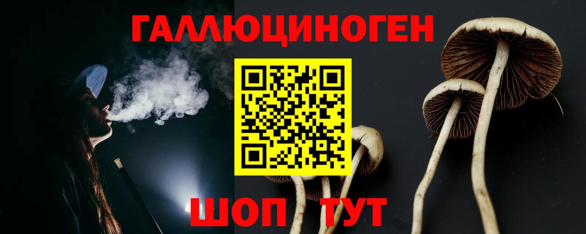 Галлюциногенные грибы мухоморы  Вход с VPN  Долгопрудный  Галлюциногенные грибы ЛСД 
