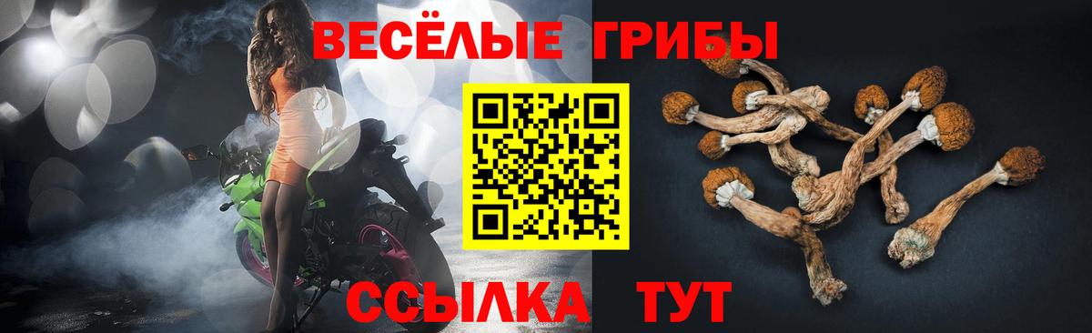 Каннабис  Меф МЯУ МЯУ кристаллы  Долгопрудный  КОКАИН  A-PVP СОЛЬ   Марихуана  ЭКСТАЗИ  Гашиш  ГАШИШ 